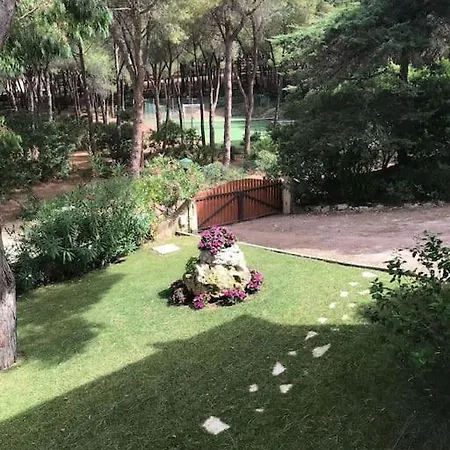 Elicriso Le Bombarde, *