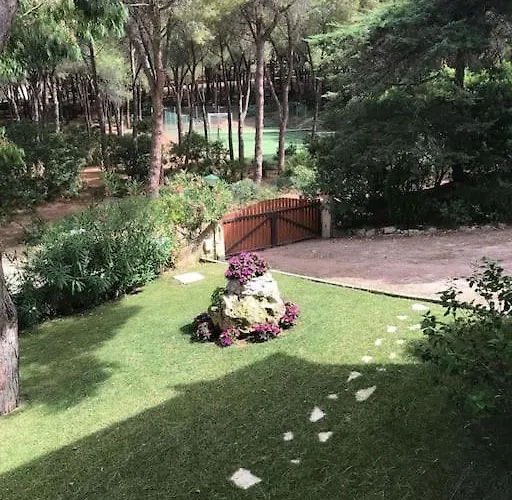 Elicriso Le Bombarde, *